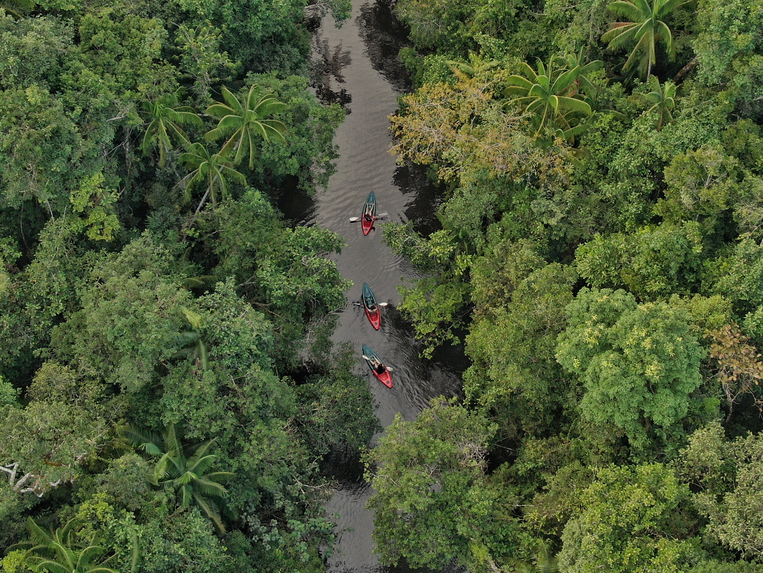 Botum Sakor National Park Wildlife hikes kayaking